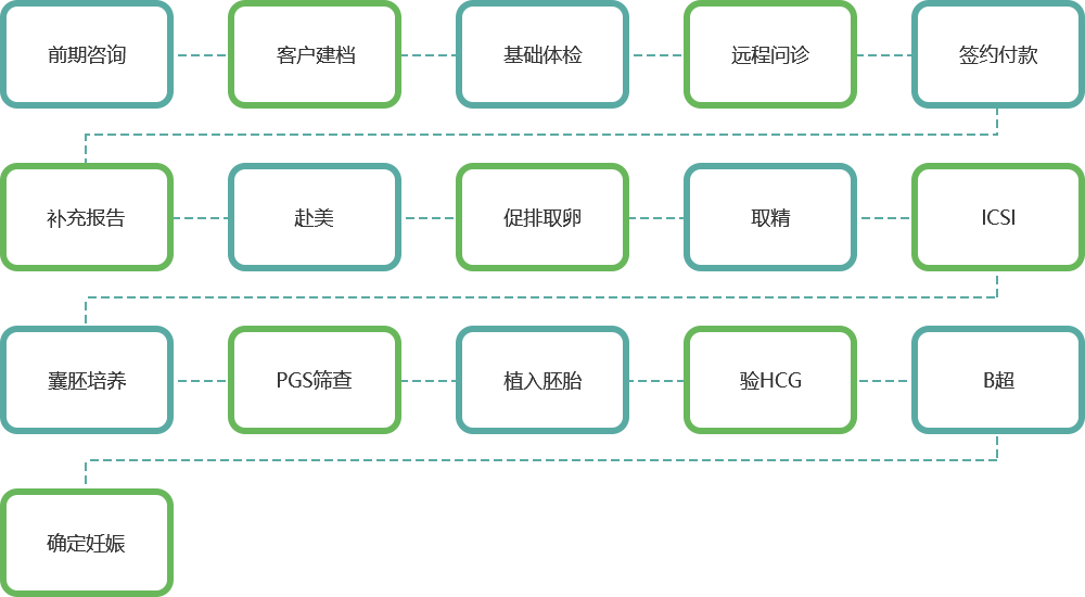 鸿生国际-海外试管生殖咨询平台