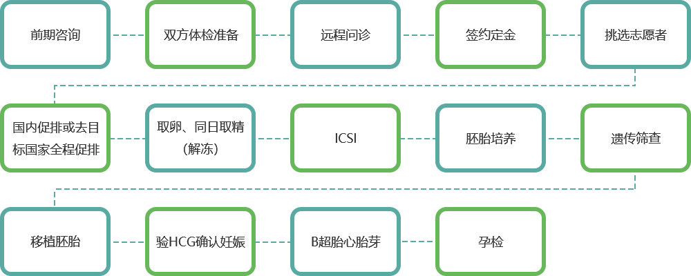 鸿生国际-海外试管生殖咨询平台